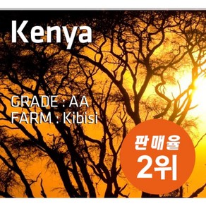 로스팅반 케냐 AA 키암부 농장 (100g) Kenya AA Kiambu Kibisi Roasting Ban, 1개, 100g