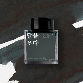 글입다 윤동주 문학 잉크 30ml 3종, 04_달을 쏘다