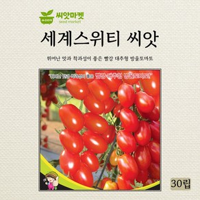 세계종묘 세계스위티 방울토마토 씨앗 30립, 1개