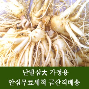 금산 수삼 인삼 난발삼大 잔뿌리 무료 세척 4년근 5년근 6년근 파삼 홍삼용 쥬스용 씻은 인삼 행복한삼, 06. (세척O)난발삼大350g, 1개