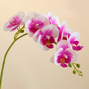 (주)아트인 호접란 조화(E), 1개, 화이트