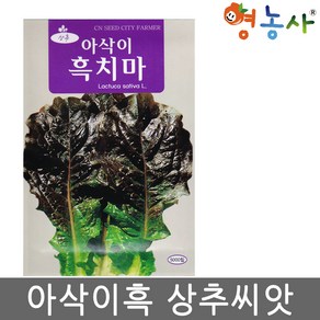 아삭이 흑치마 상추 씨앗 5000립 흑자색 광택의 상추씨 종자, 1개