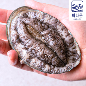 [초특가할인] 완도 활전복 1kg [산소팩 무료배송], 1개, (4호) 9-10미1kg