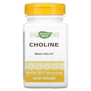 NATURES WAY 500Mg 100Tb 콜린 100 CT
