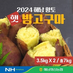 24년 화산농협 해남 황토 햇 밤고구마 7kg3.5kg+3.5kg[34531621]