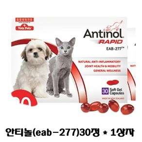 베츠페츠 안티놀 래피드 강아지 고양이 관절 슬개골 보조영양제 30정