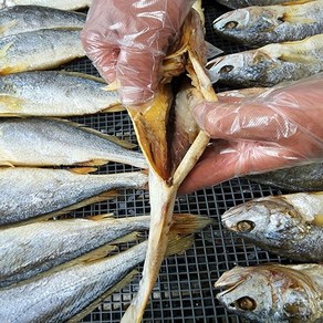 2분 OK 영광 법성포 찜 찐 부세 보리굴비 내장제거 손질 굴비 명절 제수용 부모님 선물 30cm 이상, 1개, 2.50kg(10마리)