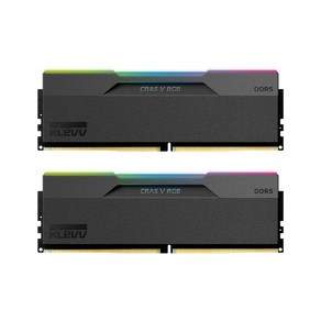 ESSENCORE ESSENCORE KLEVV DDR5-7200 CL34 CRAS V RGB 패키지 서린 (48GB(24Gx2)), 선택하세요, 2개