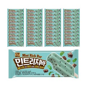 서주 민트리치바 40개 한박스 아이스크림