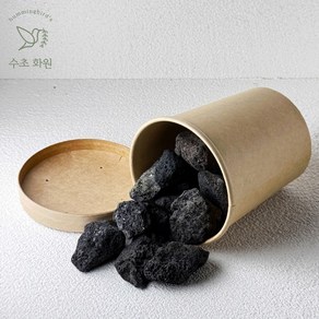 레이아웃 화산석 소 (약 350g~400g), 1개