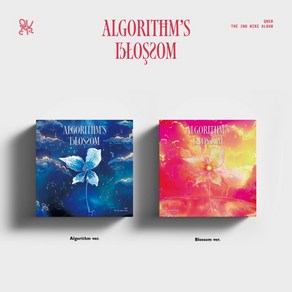 QWER (큐더블유이알) / Algoithm's Blossom 미니앨범 2집 (버전선택/L200003105), A 블루버전