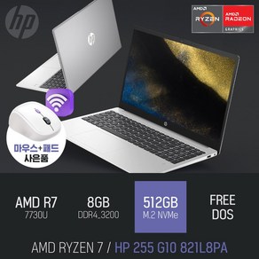 HP 255 G10 821L8PA [무선 마우스 증정]