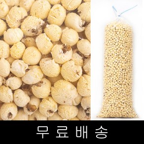 코리아푸드 팝콘강냉이 옥수수팝 1.3kg box포장, 1.1kg, 1개