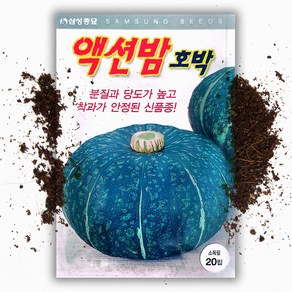 액션밤 단호박 씨앗(20립) 분질과 당도가 높음, 1개