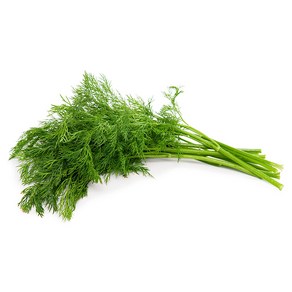 허브 딜 생잎 100g (Dill) 향신료, 1개