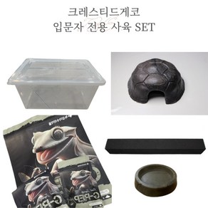 크레스티드게코 랜덤모프 (사육세트 옵션), 크레스티드게코 사육 SET, 1개