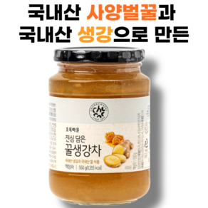 [초록마을] 국내산 사양 벌꿀과 생강으로 만든 꿀생강차, 1개, 1개입, 550g