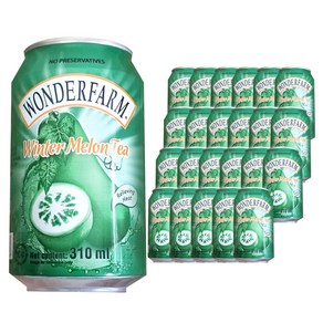 원더팜 윈터메론티 310ml, 24개