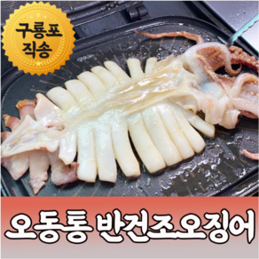 홍이네수산 구룡포 피데기 반건조오징어 파품 정품 1kg 전후 10마리 당일발송, [정품]소 피데기 )반건조 700g(10미), 1개