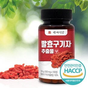 발효구기자 추출물 정 500mg 100정 HACCP 인증제품, 50g, 2개