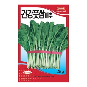 경신종묘 쌈배추씨앗 건강풋쌈배추 25g, 1개