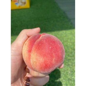 [선한마을] 명품 하우스 복숭아, 1박스, 500g(2-5과)