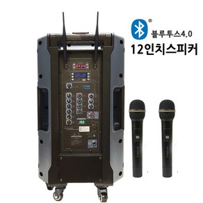 국산 300W 버스킹앰프 색소폰연주용스피커 행사용 기타 반주기 무선마이크