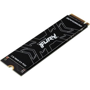 Kingston FURY Renegade 1TB PCIe Gen 4.0 NVMe M.2 내장 게이밍 SSD 최대 7300MBs 그래핀 히트 스프레더 3D TLC NAND PS5 작, SSD Only_SSD, 1개