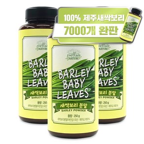 멜로우네이쳐 국산 제주 새싹보리 분말, 3개, 250g