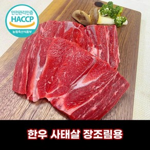 [당일출고} 디에스미트 한우 사태살 장조림용 덩어리용 우시산한우 1등급이상 냉장, 1개, 300g