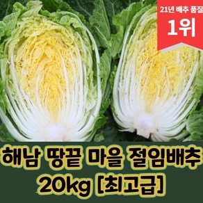 해남 땅끝 마을 절임배추 20kg [최고급], 12월 01일 금요일, 1박스