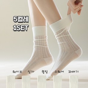 피아드 5가지 스타일 망사 봄 여름 시원한 패션의 완성 망사 시스루 롱 니삭스 스타킹 양말 5켤레 1세트