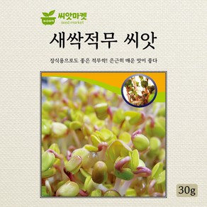 다농 새싹적무 씨앗 30g, 1개