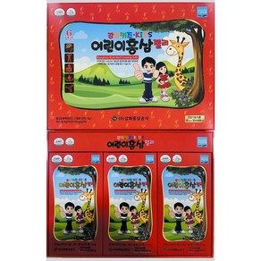 강화 키즈 어린이 홍삼젤리, 600g, 1개