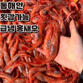 동해안 급냉 홍새우 1kg, 1개