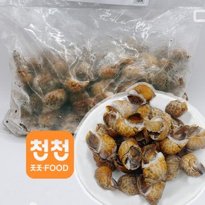 [천천중국식품] 수입 인도네시아산 냉동 골뱅이 1kg 꽃소라 골뱅이, 1개