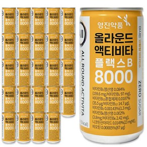 영진약품 올라운드 액티비타 플랙스B 8000 비타민B 제로칼로리 에너지 음료, 190ml