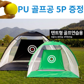 로한스 골프네트 골프 그물망 + 스펀지 골프공 5P 스윙연습 장타연습 자세교정연습 실내 가정용 연습네트