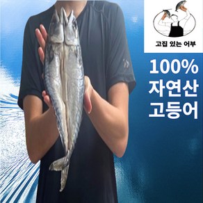 [100% 국내산] 청정해역 손질된 자연산 고등어 구이/조림용, 5개, 200g