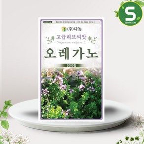 솔림텃밭몰 오레가노씨앗 3000립 오레가노 꽃박하 허브씨앗