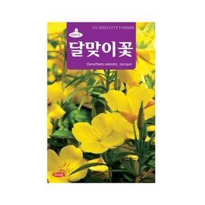 (CN) 달맞이꽃 씨앗 (4000립)