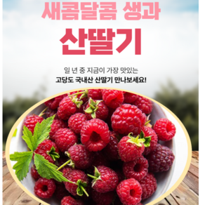 달콤한 국산 프리미엄 고당도 생과 산딸기, 2세트, 250