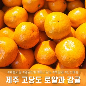 [다정한과일] 최고당도 프리미엄 로얄과 제주 감귤, 1박스, 제주 가정용 L 5KG