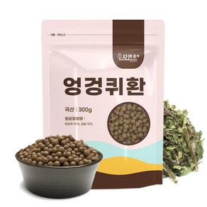 자연초 국산 엉겅퀴환 300g