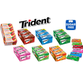 (코스트코)트리덴트 시나몬 스피아민트 풍선 오리지날 슈거프리 껌 외 7가지 맛 /Trident Gum