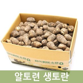 국내산 알토란(특) 5kg 10kg 굵은 사이즈 흙토란 포슬포슬 가을먹거리, 1개