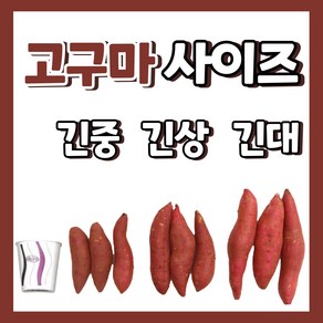 24년 햇 꿀밤고구마 긴사이즈 3kg 5kg 10kg 선택가능