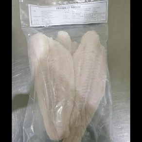 메기살 팡가시우스 1KG 220G UP