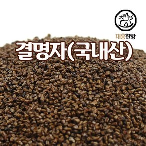 대흥한방 결명자 300g 국내산, 1개