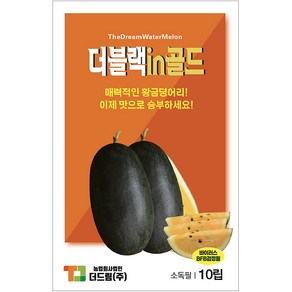 더드림 [더블랙인골드] 수박씨앗 수박종자 / 상품성 좋은 흑피 황육 수박씨, 1개